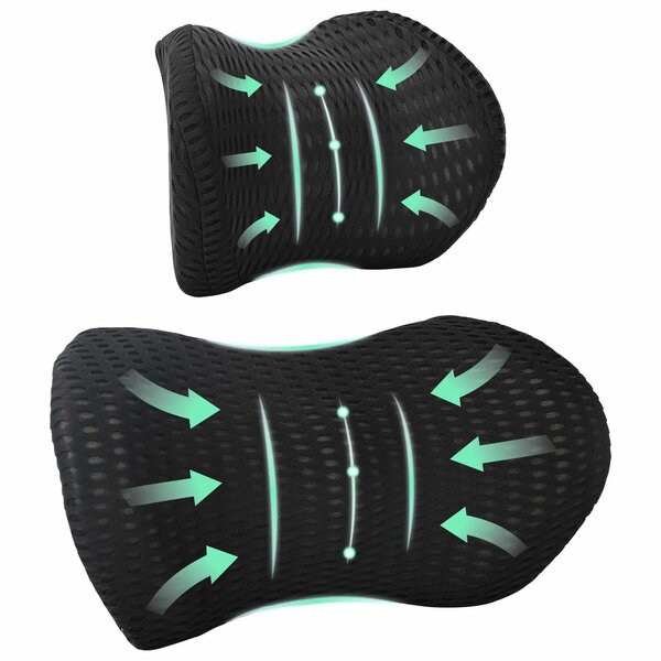 vidaXL Ensemble de Oreillers avec oreiller 2 Pièces Noir Maille 4D