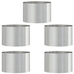 vidaXL Pots de jardin 5 Pièces Argent 30 x 30 x 20 cm Acier inoxydable