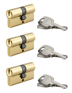THIRARD - Lot de 3 cylindres STD  30X30mm  s'entrouvrant  9 clés