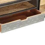 vidaXL Meuble TV 120 x 30 x 40 cm Bois massif de manguier