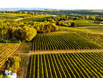 SMARTBOX - Coffret Cadeau Découverte de vignes biodynamiques avec dégustation de vins en Gironde -  Sport & Aventure