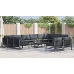vidaXL Ensemble de canapé de jardin 13 Pièces Anthracite Acier