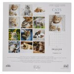 Grand calendrier mural 29x29cm Chats 2020 DRAEGER