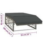 vidaXL Salon de jardin 2 Pièces avec coussins Résine tressée Gris