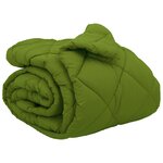 vidaXL Duvet d'hiver Vert 220 x 260 cm Microfibre