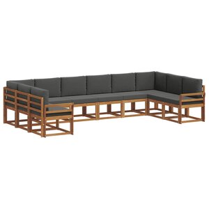 vidaXL Ensemble de canapés d'extérieur 10 pc Naturel et Anthracite