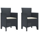 vidaXL Chaises de Jardin avec Coussins 2 Pièces Anthracite Rattan Plastique