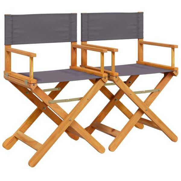 vidaXL Chaises de réalisateur pliables lot de 2 gris foncé tissu
