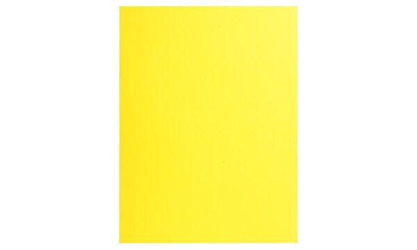 Paquet de 25 chemises Double Poche ROCK''S 220 - double A4 ou A3 - 24x32cm EXACOMPTA