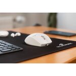 Souris sans fil - BLUESTORK - 2.4 GHz - 5 boutons - Blanc