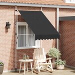 vidaXL Auvent manuel rétractable 150 cm Anthracite