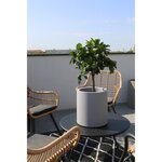 BAC GRANIT ROND 40 STONE