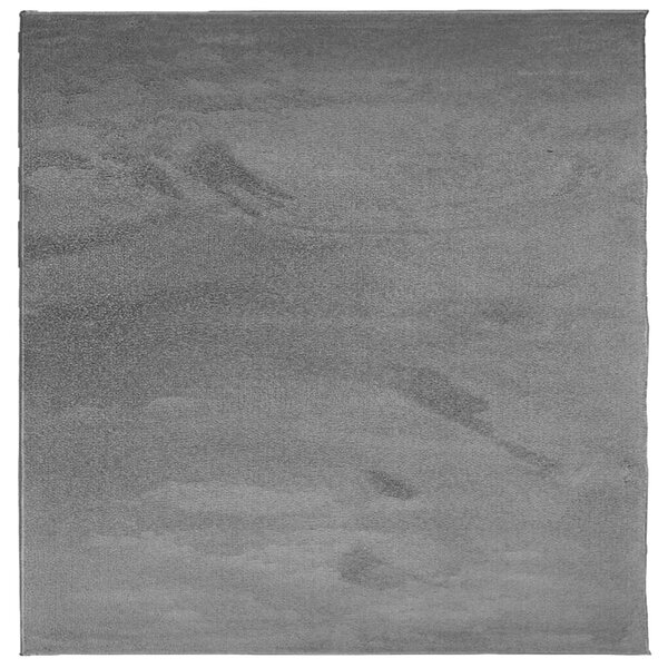 vidaXL Tapis OVIEDO à poils courts anthracite 120x120 cm