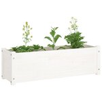 vidaXL Jardinière d'extérieur Blanc 100x31x31 cm Bois de pin massif