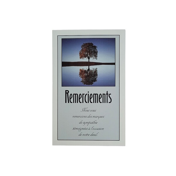 Carte De Voeux - Condoléances - 5 Cartes Remerciements Deuil