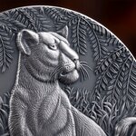 THE GRACE OF LIONESS Circle of Life 2 Once Argent Monnaie 2000 Francs Cameroon 2024