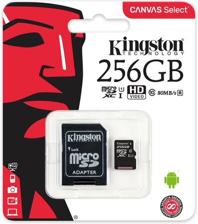 Carte mémoire Micro Secure Digital (micro SD) Kingston Canvas Select 256 Go SDXC Class 10 avec adaptateur