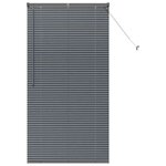 vidaXL Store de Fenêtre avec des rideaux Manuel Gris foncé Aluminium
