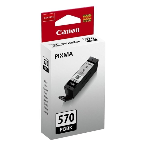 Canon cartouche d’encre pixma 570 noir (lot de 2)