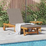 vidaXL Transat 1-personne Marron 63 x 199 x 85cm Bois d'acacia massif