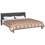 vidaXL Duvet d'hiver Doré 240 x 200 cm Satin et Microfibre