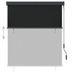 vidaXL Store roulant d'extérieur 140 x 250 cm Anthracite
