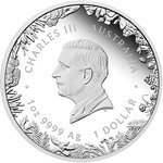 Monnaie OUTBACK Wonders of Australia 1 Oz Argent 1$ Australia 2026