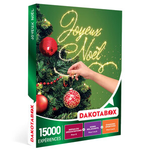 DAKOTABOX - Coffret Cadeau Joyeux Noël - Multi-Activités