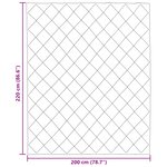 vidaXL Duvet d'été simple Gris clair et anthracite 220 x 200 cm