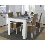 DEMEYERE Table a manger extensible 8 a 10 personnes style contemporain décor pin et décor chene - L 230 x l 90 cm - MARQUIS