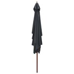 vidaXL Parasol d'extérieur avec mât en bois 200x300 cm anthracite