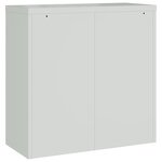 vidaXL Armoire de bureau avec 2 portes Gris 90 cm Acier