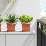 vidaXL Pots de plantes 6 Pièces Rouge brique 20 x 20 x 16 cm Plastique