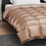 vidaXL Duvet d'hiver Doré 240 x 200 cm Satin et Microfibre