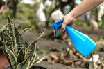 Flacon pulvérisateur - Suan - Multiusages pour le jardin et la maison - Contenance : 1000 ml