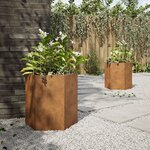 vidaXL Jardinières 2 Pièces hexagone 46x40x45 cm acier patinable