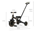 Tricycle  Stager 3-en-1 Platinium