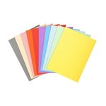 Paquet de 100 chemises Forever® 220 100  recyclé 24x32cm Assorties x 5 EXACOMPTA