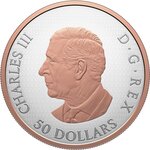 Pièce de monnaie en Argent 50 Dollars g 155.5 (5 oz) Millésime 2026 MAPLE LEAVES IN MOTION