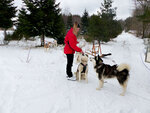 Escale insolite en ardèche : 2 jours en chalet et activité de 3h30 avec des chiens de traîneau - smartbox - coffret cadeau séjour