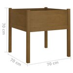 vidaXL Jardinières 2 Pièces Marron miel 70x70x70 cm Bois de pin massif