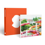 SMARTBOX - Coffret Cadeau Accès au Plopsaqua De Panne pour 3 adultes et 1 enfant -  Multi-thèmes