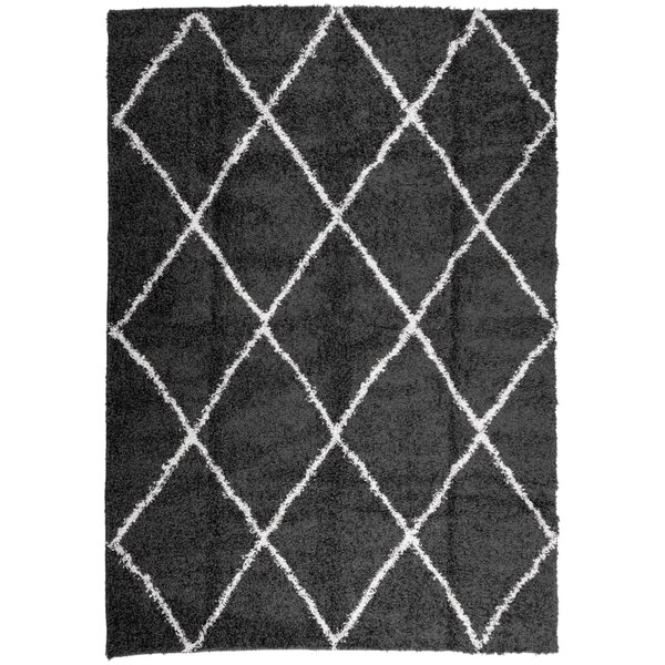 vidaXL Tapis shaggy à poils longs moderne noir et crème 120x170 cm