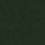 vidaXL Chaises à manger lot de 2 Vert foncé Velours