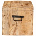 vidaXL Boîte de Rangement avec stockage bois de manguier massif