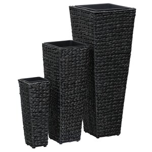 vidaXL Lits surélevés 3 Pièces Jacinthe d'eau Noir