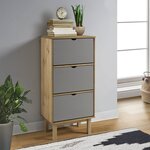 vidaXL Armoire à chaussures OTTA et 3 tiroirs Marron et gris Bois pin