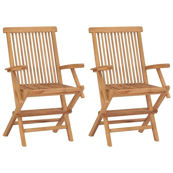 vidaXL Chaises pliables de jardin lot de 2 Bois de teck solide