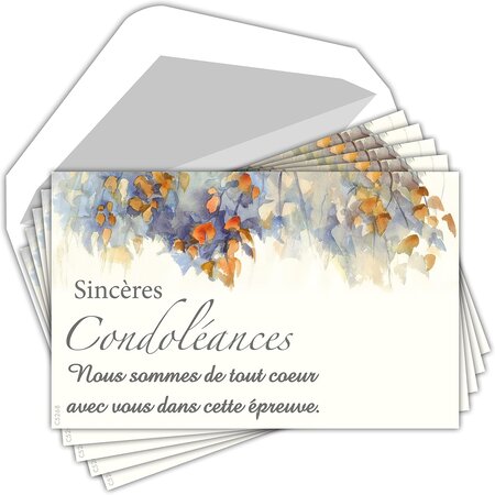 Lot 5 cartes remerciements condoléances +5 enveloppes blanches format  9x14cm - La Poste