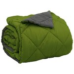 vidaXL Duvet complet toute l'année Vert et Anthracite 200 x 200 cm